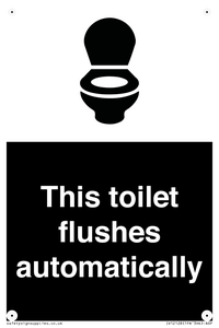 This toilet flushes automatically